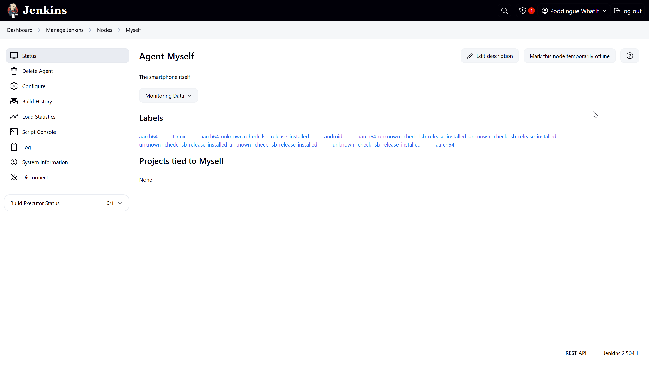 Jenkins agent connected